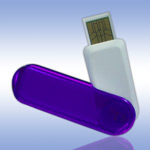 USB - - PQI Traveling Disk i261 Purple - 1Gb  :  2